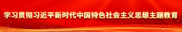 老吊黑逼逼逼逼逼BBBB学习贯彻习近平新时代中国特色社会主义思想主题教育